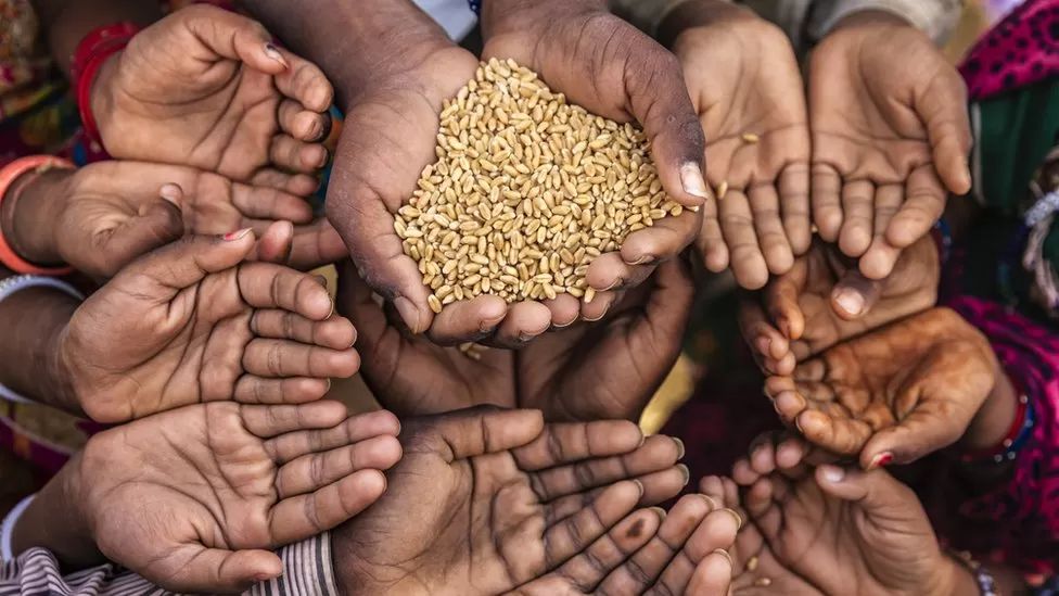 سەدان ملیۆن کەس لەسەر ئاستی جیهان ڕووبەڕووی برسیێتی بوونەتەوە