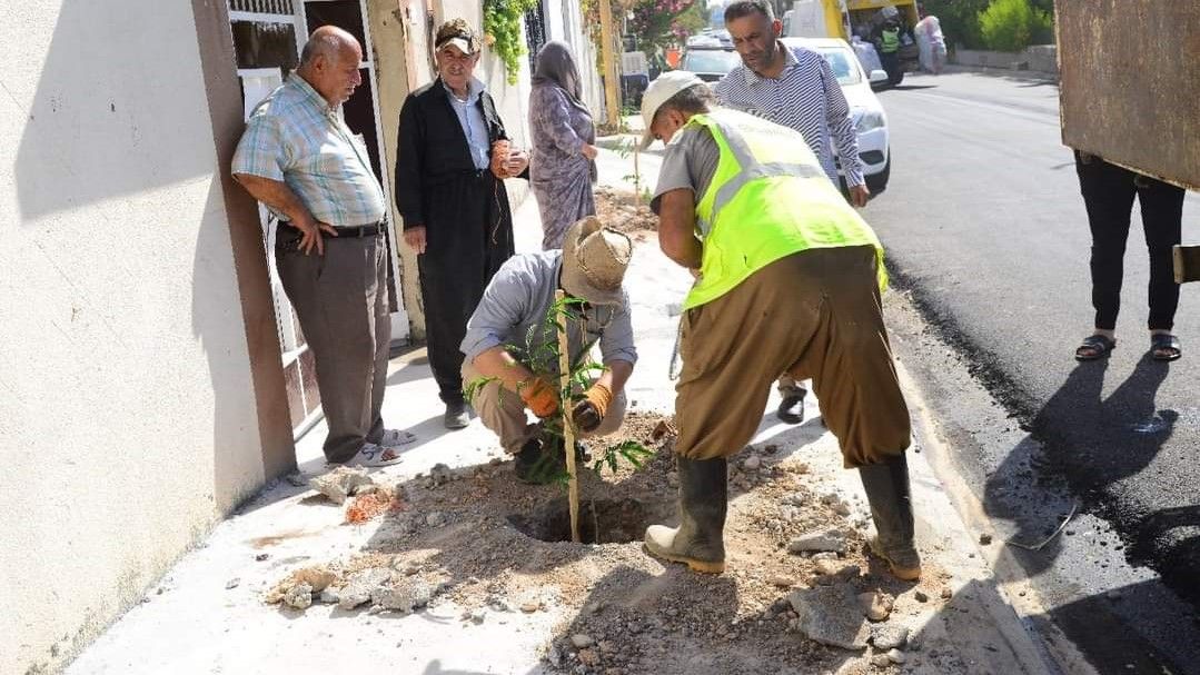 پڕۆژەی ماڵ بە ماڵ بۆ نەمام چاندن بەردەوامیی هەیە