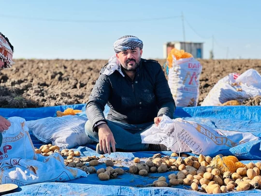 ل دهۆكێ 33 هزار دۆنمێن ئەردی بۆ چاندنا پتاتان هاتنە تەرخانكرن