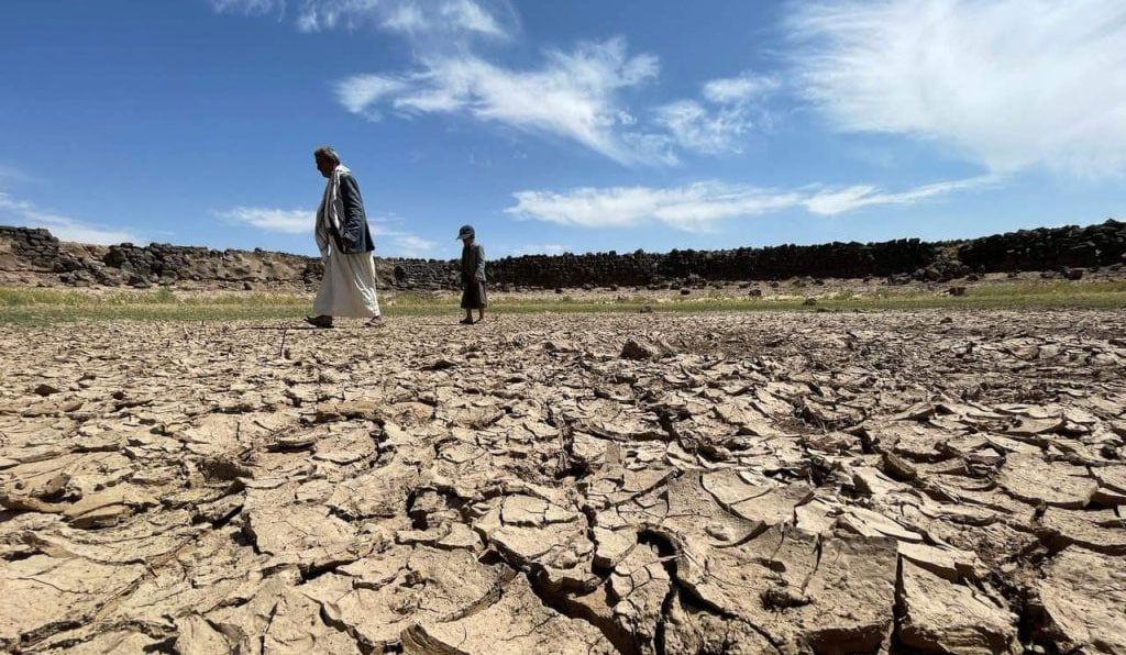 عێراق بە چاندنی 16 ملیۆن دار ڕووبەرووی بەبیابانبوون دەبێتەوە