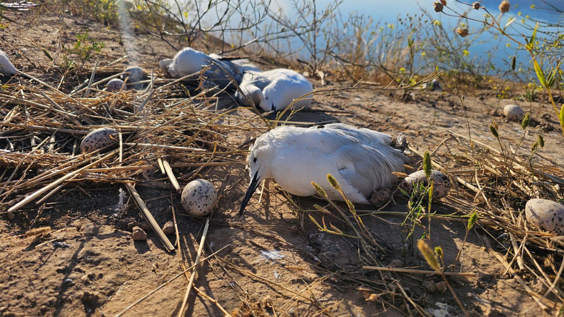 سەردانیکردنی شوێنی نەورەسەکان قەدەغە دەکرێت