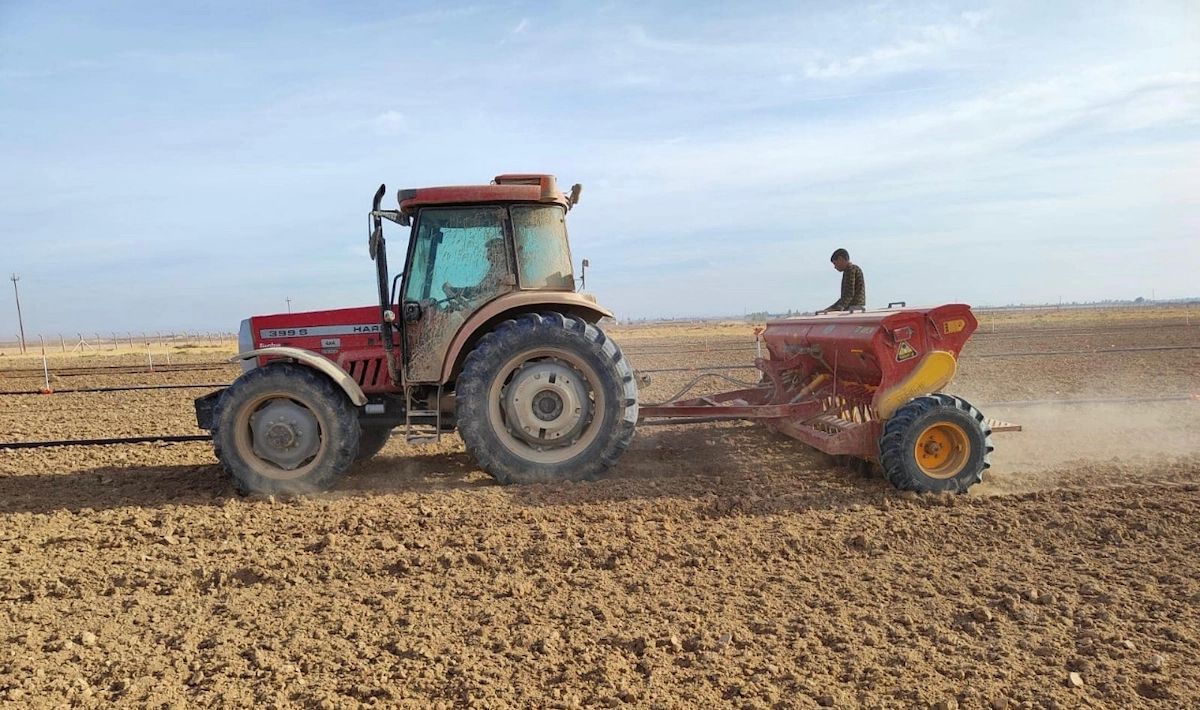 وەرگرتنی گەنمی جووتیارانی کورد لە کەرکووک دەستپێدەکات