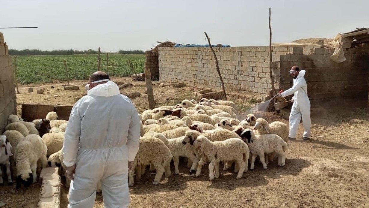 یەكەم حاڵەتی مردن بە تای خوێنبەربوون لە كەركووک تۆماركرا