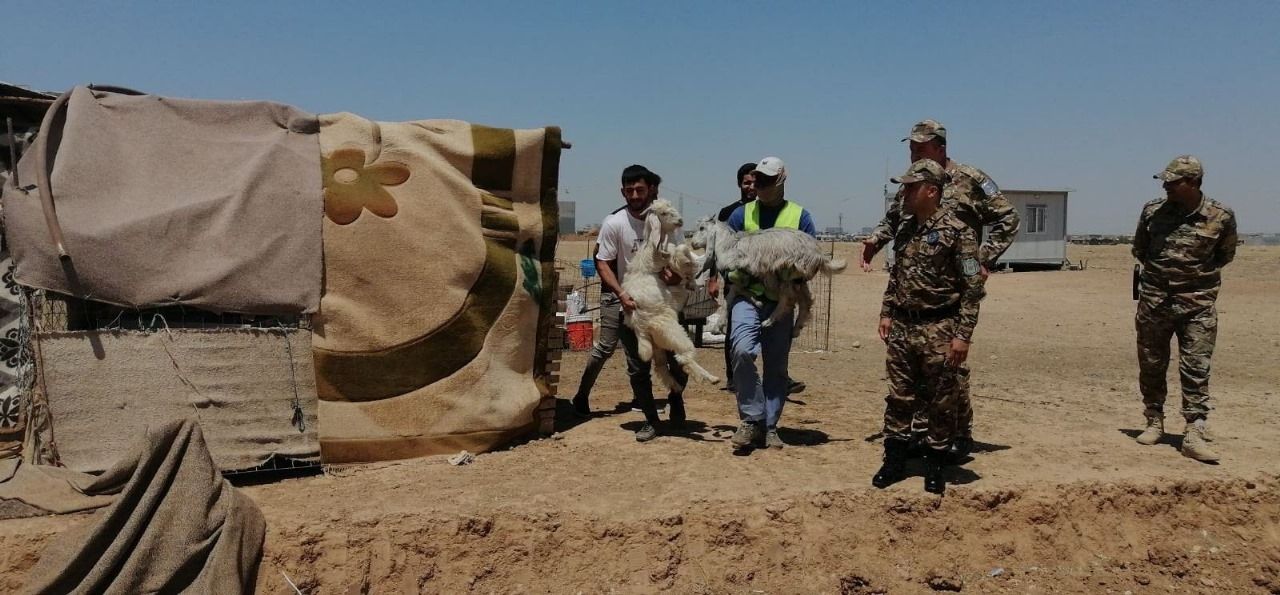 سەرۆکی شارەوانیی هەولێر: بەخێوکردنی ئاژەڵ لە گەڕەکەکان قەدەغەیە