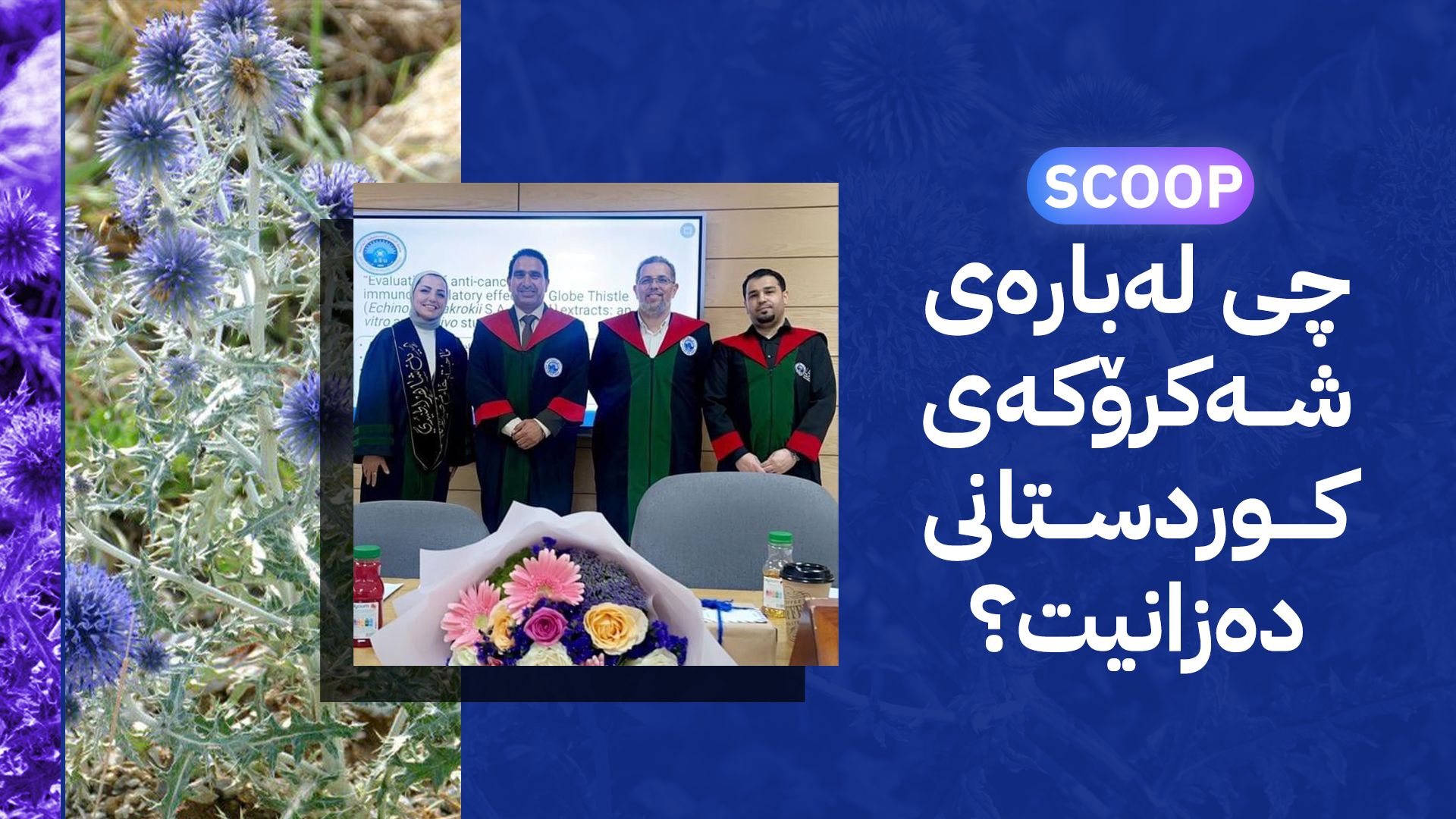 ڕووەکێکی کوردستان وەک چارەسەری شێرپەنجەی هەناو دەستنیشان دەکرێت